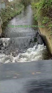 Mindfulness Quotes for Stress and Anxiety Relief