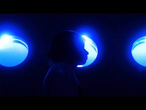 WE BACK (official music video)