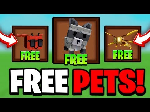 [New🎁] Giveaway Live Stream