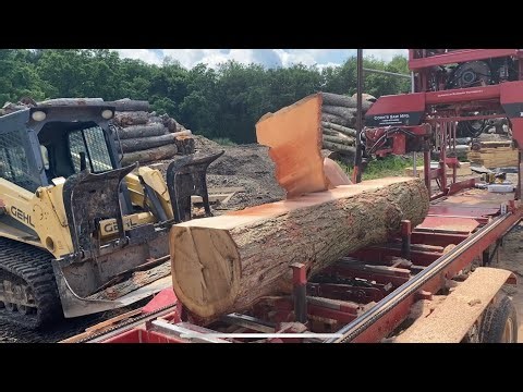 Sawing A Short Log