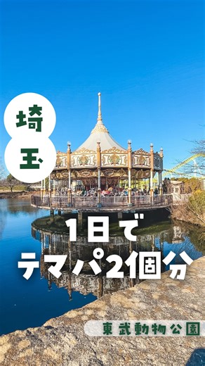 なおころ【神奈川発】小学生と全力おでかけママ🚗 on Instagram: "＼横浜から日帰りOK／ テーマパーク2つある行けちゃったくらいの満足度🫏🎢 ＿＿＿＿＿＿＿＿＿＿＿＿＿＿＿＿＿＿＿＿＿＿＿＿ 最初は「とりあえず動物見てから…」のつもりが まさかの“逆ルート”でいきなり観覧車🎡 ☑︎ 遊園地のアトラクションが多すぎて混雑知らず！ ☑︎ 最初あんまり動物に興味なさそうだった子どもたちも 「ポニーには乗りたい！」で動物園ゾーンへ ☑︎ 昼ごはん→ホワイトタイガー→また遊園地🏃‍♀️💨 ☑︎ 食後に乗りまくる子どもたちに親の胃が追いつかない😅 ＿＿＿＿＿＿＿＿＿＿＿＿＿＿＿＿＿＿＿＿＿＿＿＿ ✔ 動物も乗り物も全力で楽しみたい ✔ 小学生が1日中飽きないスポットを探してる ✔ 移動アリでも“満足度重視派” そんなファミリーに東武動物公園、激推し🎡🦁✨ ＿＿＿＿＿＿＿＿＿＿＿＿＿＿＿＿＿＿＿＿＿＿＿＿ 【東武動物公園】 📍 埼玉県南埼玉郡宮代町須賀110 🅿️ あり 1,500円（動物園側・遊園地側に分かれてるよ） ⚠︎うちは最後動物見ながら駐車場に向かいたかっ