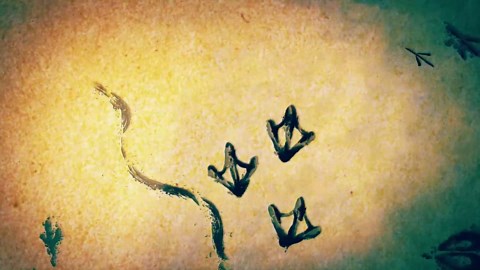 The Snarling Badger You Don’t Want to Mess With