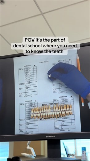 We were so excited to start learning about teeth and now we’re studying hard for our tooth identification exam!! #dentistry #dentalschool #teethtok #predental