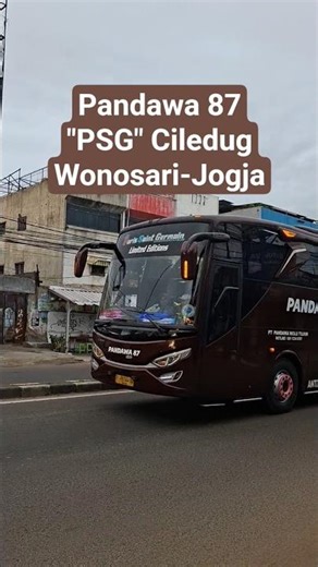 Pandawa 87 #bus #busmania #shorts #shortvideo #youtubeshorts #viral #viralvideo #trending #youtube