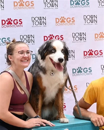 Dogs Downtown 🐶 Sept 20, 11am–3pm! Come to Central Park for dog activities, a therapy dog simulation room, free wag swag and puppy kisses! | Downtown Rochester, Minnesota