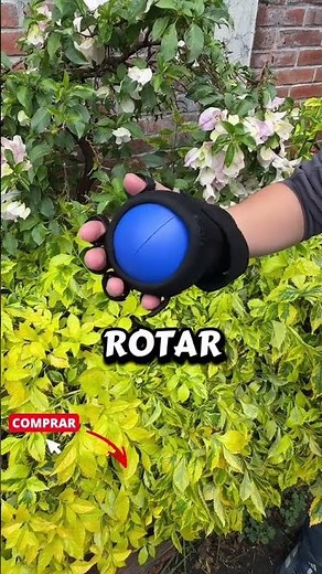 Ejercicios básicos para rehabilitación Férula con pelota