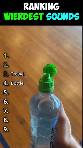 Ranking the Weirdest Sounds: A Fun Compilation