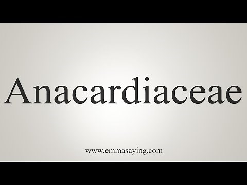 How To Say Anacardiaceae
