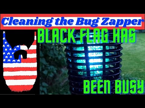 Cleaning the Bug Zapper