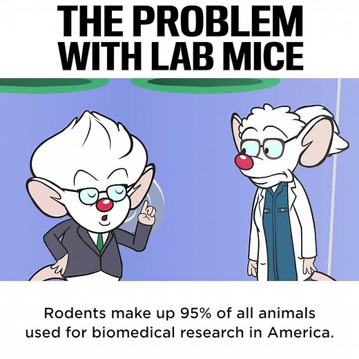 44K views · 421 reactions | Mouse trials are easy, cheap and apply to humans less than 80% of the time. | CollegeHumor | Facebook