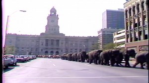 2.7K views · 26 reactions | The Ringling Bros. and Barnum & Bailey Circus at Veterans Memorial Auditorium almost didn't happen in 1981 after the company's train derailed on the way to Des Moines. Luckily, no animals or performers were hurt in the crash and they made it just in time to put on a show. More from the KCCI archives: https://t.ly/fkyqn | KCCI | Facebook