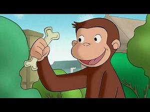 Ciekawski George | Dorastająca małpka | Bajki Po Polsku