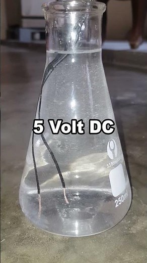 Creating Hydrogen Gas from Water? #experiment #science #diy #scienceproject