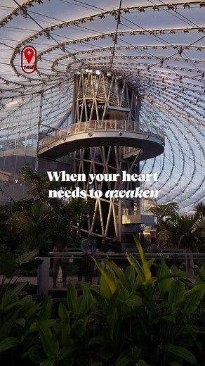 Whether you’re looking for a warm escape or a place to connect with nature in all its shapes and sizes, The Leaf - Canada’s Diversity Gardens will awaken your heart to the joy of natural beauty. Whether you’re a local or a visitor, Canada’s heart is calling. #exploremb #explorecanada #plantsoftiktok #planttok #gardentok #gardening #biome #manitoba #winnipegtiktok #gardentourist #winnipeg #canadiantravel #planttiktok #assiniboinepark