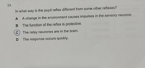In what way is the pupil reflex different from some other refle... | Filo