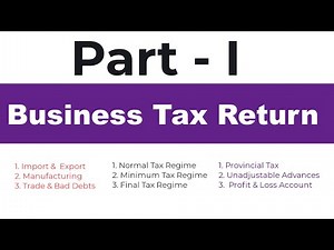 Filing Your First Professional Business Tax Return: Everything You Need to Know (Part 1)