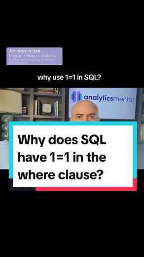 why do you see your SQL code written with one equals one in the where clause? #sql #businessintelligence #businessanalyst #breakintoanalytics #srdataanalyst #dataanalyst #dataanalytics #datascience #longervideos
