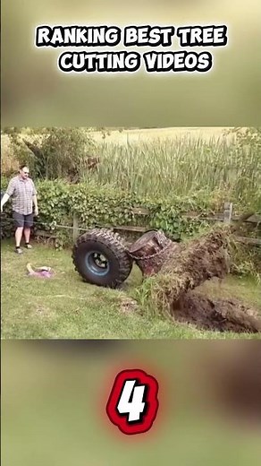 Ranking best tree cutting videos!🌲#satisfying #funny #tree