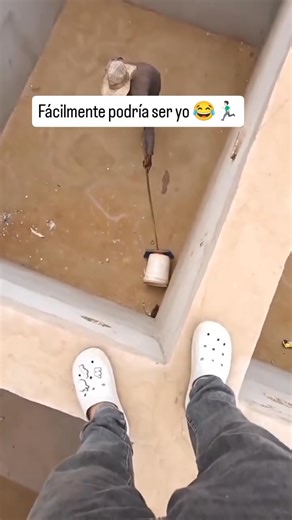 😅 esta noche minimo tiene una pesadilla 😅 | Para Normal