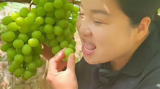 10164657134726----颗颗如绿宝石般晶莹。自带迷人玫瑰香气，脆甜多汁