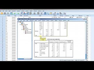 Reports - Case summaries (IBM® SPSS® Statistics software ("SPSS"))