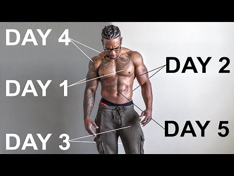 MY WORKOUT SPLIT FOR MAXIMUM MUSCLE GAINS