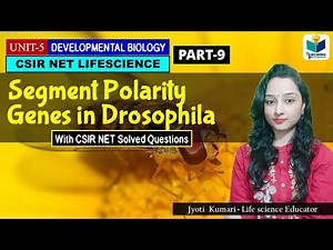 SEGMENT POLARITY GENE (LESSON #2)|DEVELOPMENTAL BIOLOGY OF DROSOPHILA (PART-9)| CSIR NET| DEV BIO