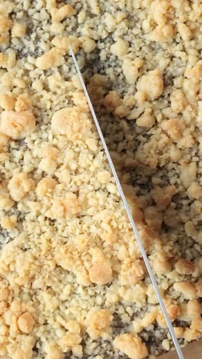 Mohn-Puddingkuchen Dieser schnelle Mohn-Puddingkuchen vom Blech mit leckeren Zimtstreuseln verbindet einen knusprigen Streuselteig mit einer lecker cremigen Mohn-Puddingfüllung. 🥰 Mohnkuchen passt dabei doch perfekt zu Geburtstagen oder an einem Sonntag zum Kaffee. Besonders praktisch an dem einfachen Rezept ist der Teig. Für diesen Blechkuchen brauchst du nur einen einzigen Teig für den Boden und die Streusel. So sparst du Zeit und es macht die Zubereitung super einfach. 🤩 Streuselteig 550 g 