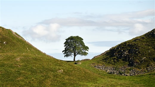 Shock as Sycamore Gap tree docu is interrupted by ad of Ford car pulling tree