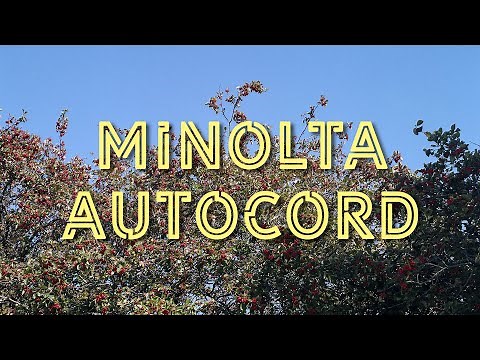Minolta Autocord - Review with samples