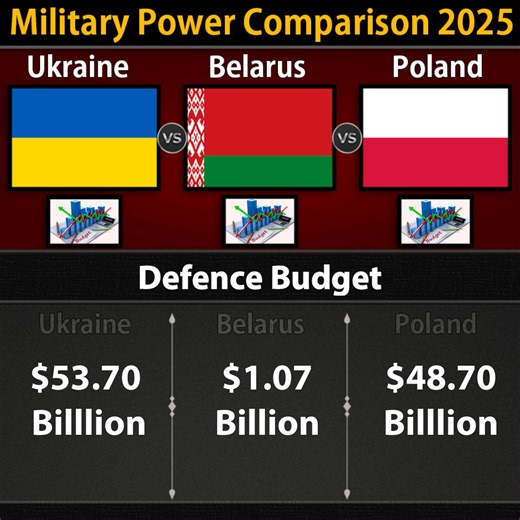 24K views · 118 reactions | Ukraine Vs Belarus Vs Poland || Land Military Comparison 2025 (Part-1) | Military Power | Facebook