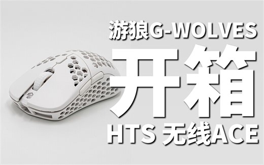 新鼠标(玩具)开箱 游狼 G-WOLVES HT-S 无线 ACE Hati Wireless