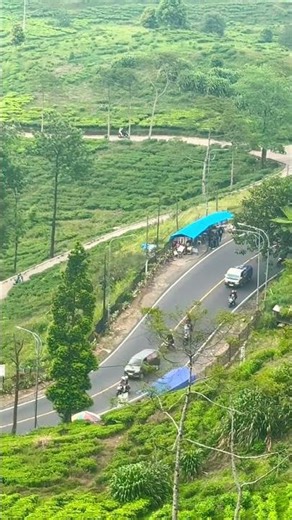 Roadtrip to Puncak