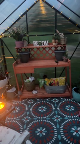 Polycarbonate Greenhouses, 6x8 FT Green Houses for Outside with Adjustable Roof Vent, Walk-in Aluminum Frame Greenhouse(6x8FT)