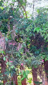 41K views · 10K reactions | Ravi S on Reels | Facebook