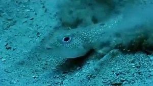 62K views · 494 reactions | Fishing and Boat ramp Fails on Reels | Facebook