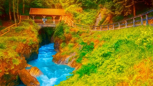 シネマティックな森の川｜美しい自然の音と風景