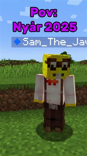 Pov: nyår 2025! #minecraft