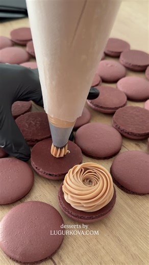 Nutella macarons 💫 recipe available for purchase on my website lugurkova.com