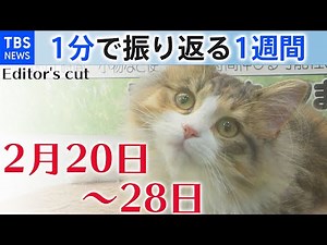「１分で振り返る１週間」 ２月２０日→２月２８日 ワンカットカレンダー２０２１【Editor's cut】