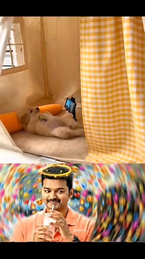 Kind_reels | Show Time😘😘🫰 #doglover #dogs #dogsofinstagram #showtime #watching #mobile #tv #cute | Instagram