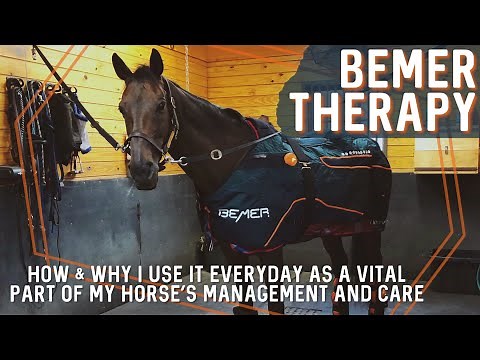 THE BEMER HORSE SET: An Equestrian Vlog on BEMER THERAPY, How It Helps Our Horses & Why I Use It!!