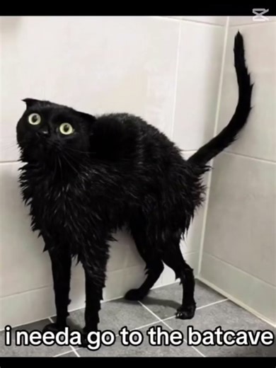 Js kidding /)-(\#batman