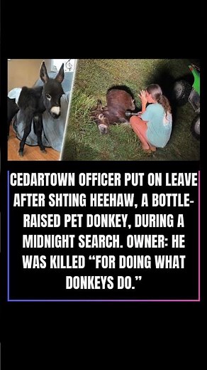 Police Officer Shoots Pet Donkey, Placed on Leave