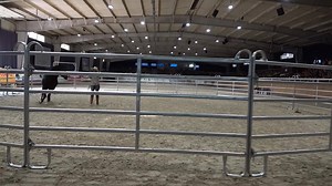 RÜCKBLICK Das FreitagsEVENT "From Wild to mild" hat vielen Zuschauern neben der ersten Trainer Challenge die Möglichkeit gegeben zwei tolle Horseman aus den USA kennenzulernen und 2 völlig unterschiedliche Pferde und damit komplett unterschiedliche Herangehensweisen im Training zu sehen... Hier schon mal ein kurzer Einblick in das Training von Juan Vendrell und Mustang Maddy www.mustangmakeover.de | Mustang Makeover Germany