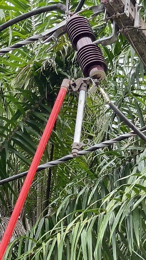 Operating drop out fuse cut out | คนรักงาน PM ระบบไฟฟ้า