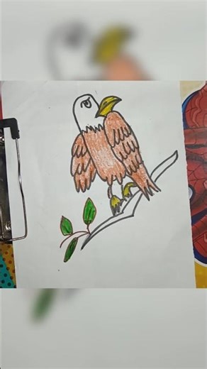 Eagle- incredible eyesight and fearless bird🦅 eagle drawing #shorts