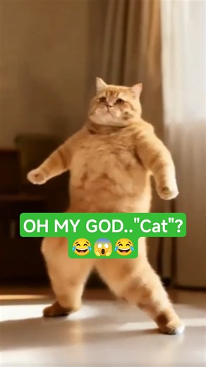 Funny Chubby Yellow Cat Dancing 😹💛 | Internet Can’t Stop Laughing| Ai video Funny😱(Part-02)