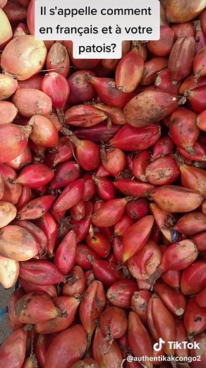 Nous valorisons les différents fruits de la RDCongo. Il s'appelle Tondolo#culture africaine#culture congolaise#fruits#forets#nourriture#alimentation#femme#grossesse#conseils#Kinshasa#RDCongo#sauvage#flore#ODD#riviereophile