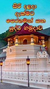 63K views · 1.7K reactions | #srilanka #srilankaarmy #SLArmy #defenderofthenation #warheroes #military #motherland | Sri Lanka Army - Defender of the Nation | Facebook